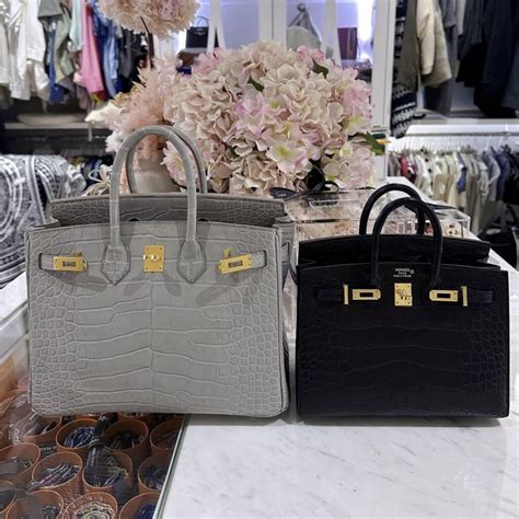 Updated: OMG, Move Over Mini Kelly, the Birkin 20 is Here